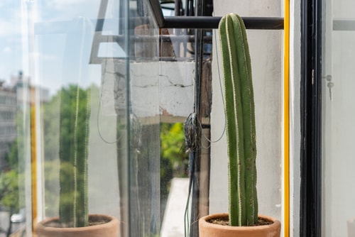 VH | Fancy apt 2 BR | wifi + gym | Condesa | 282 27 Virtual Homes