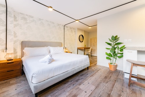 VH | Loft en Condesa | wifi & washer | 257 1 Virtual Homes
