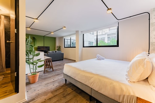 VH | Loft en Condesa | wifi & washer | 257 7 Virtual Homes