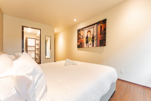 VH | Condesa | 3 hab gym + wifi + roof | 61 34 Virtual Homes
