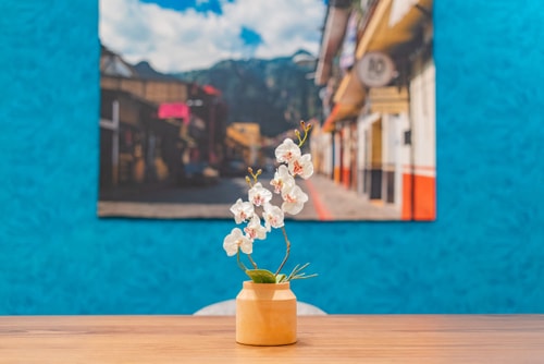 VH I Flat in Condesa | 3 rooms + Patio + wifi | 201 14 Virtual Homes