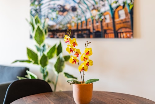 VH | Great Location @Roma. Designed Loft | 313 11 Virtual Homes