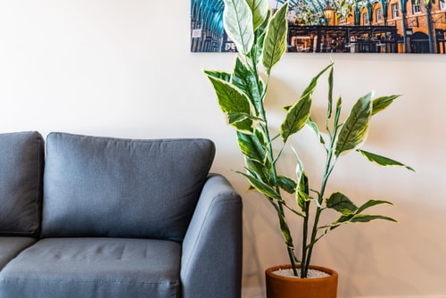VH | Great Location @Roma. Designed Loft | 313 7 Virtual Homes