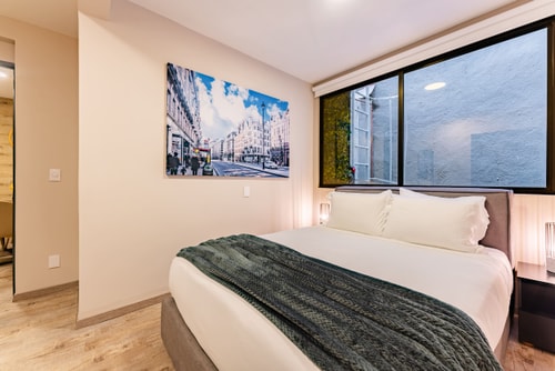 VH | Comfy Apartment Condesa | 3 bedrooms | 338 1 Virtual Homes