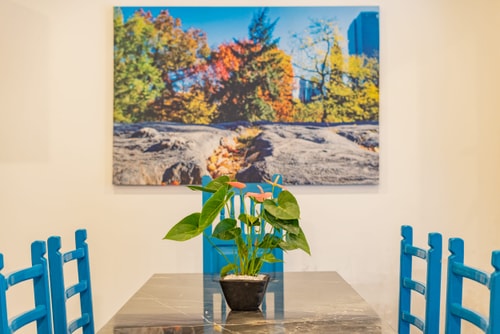 VH | Condesa apt 2 BR + Patio + wifi | 83 19 Virtual Homes