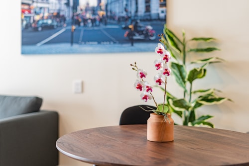 VH | Loft @Roma Nte | Lundry + rooftop | 301 7 Virtual Homes