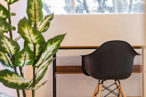 VH | Unwind in the Heart of CDMX | Home Away from Home 2BR | Condesa | 212 8 Virtual Homes