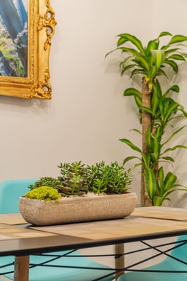 VH | Heart of Condesa 2 bedroom apartment | 3 17 Virtual Homes