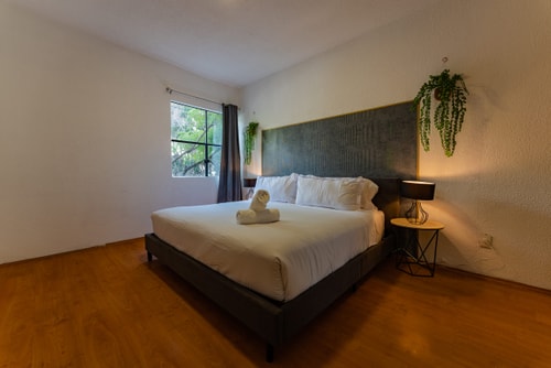 VH | Comfy Apt Condesa | 2 BR + Balcony | 214 29 Virtual Homes