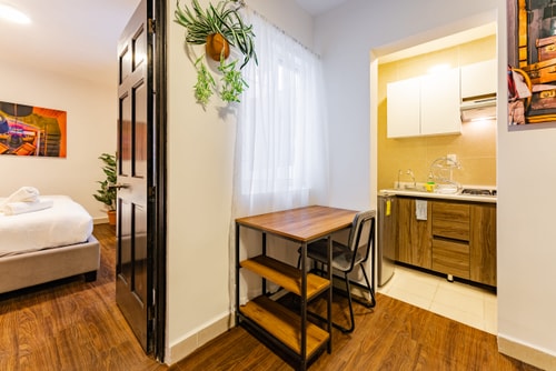 VH | Cozy loft in Condesa | 1 br + wifi | 209 5 Virtual Homes