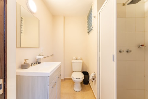 VH | Spacious Apt Condesa | Laundry Room | 198 38 Virtual Homes