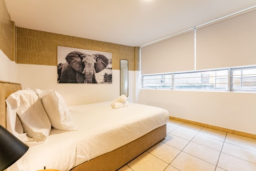 VH | Condesa Nice APT | WIFI + Washer | 199 38 Virtual Homes
