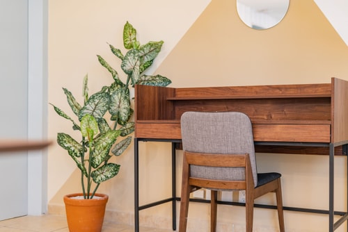 VH | Condesa Nice APT | WIFI + Washer | 199 4 Virtual Homes