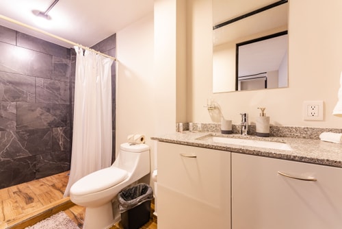 VH | Piso Completo Penthouse 14 pax + wifi | Condesa | 404 61 Virtual Homes