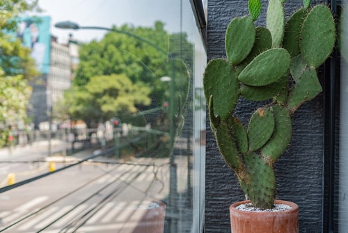 VH | Condesa | View Balcony & Rooftop + Gym | 255 10 Virtual Homes