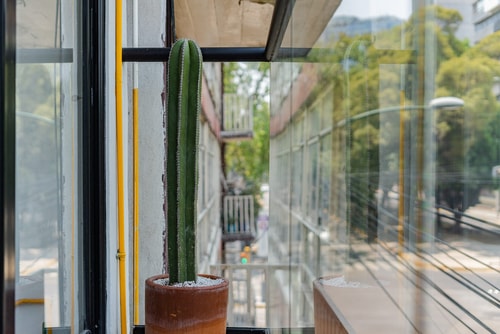 VH | Condesa | View Balcony & Rooftop + Gym | 255 13 Virtual Homes