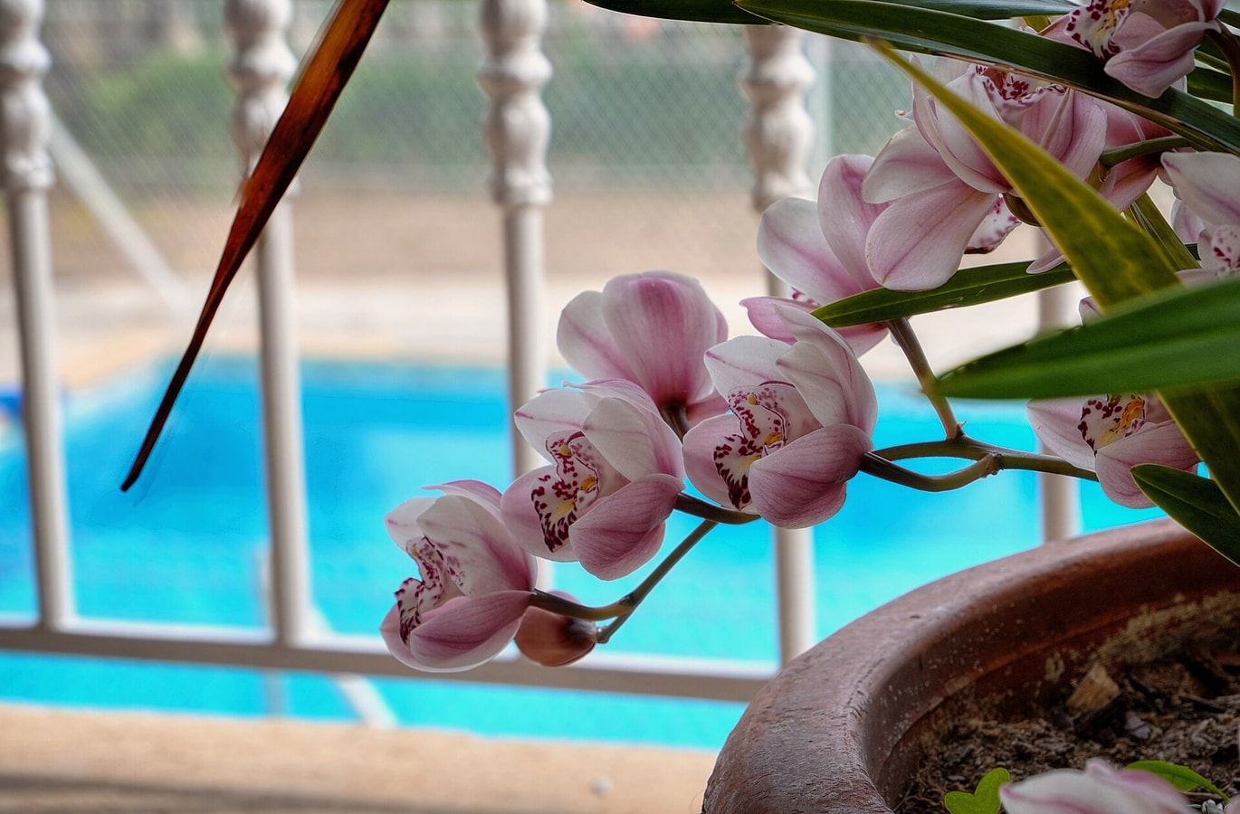 Sunshine · Immogroom- Top of villa 200m2 - Garden - Pool 51 ImmoGroom