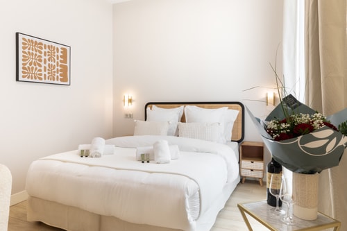 Relax in this Cute Studio Nested near the Louvre