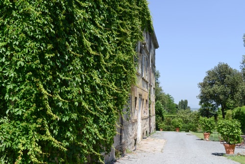 Private villa with pool suitable for weddings Villas in Italy