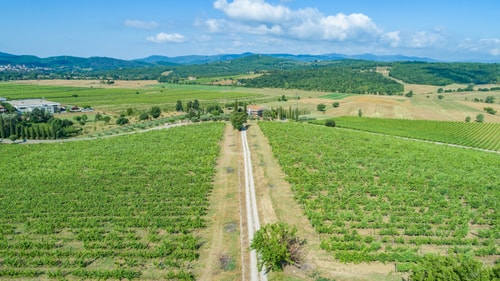 Villa Priscilla, with private pool 25 Villas in Italy