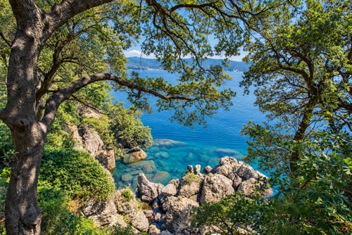 Villa Delfino, private villa in Portofino 37 Villas in Italy
