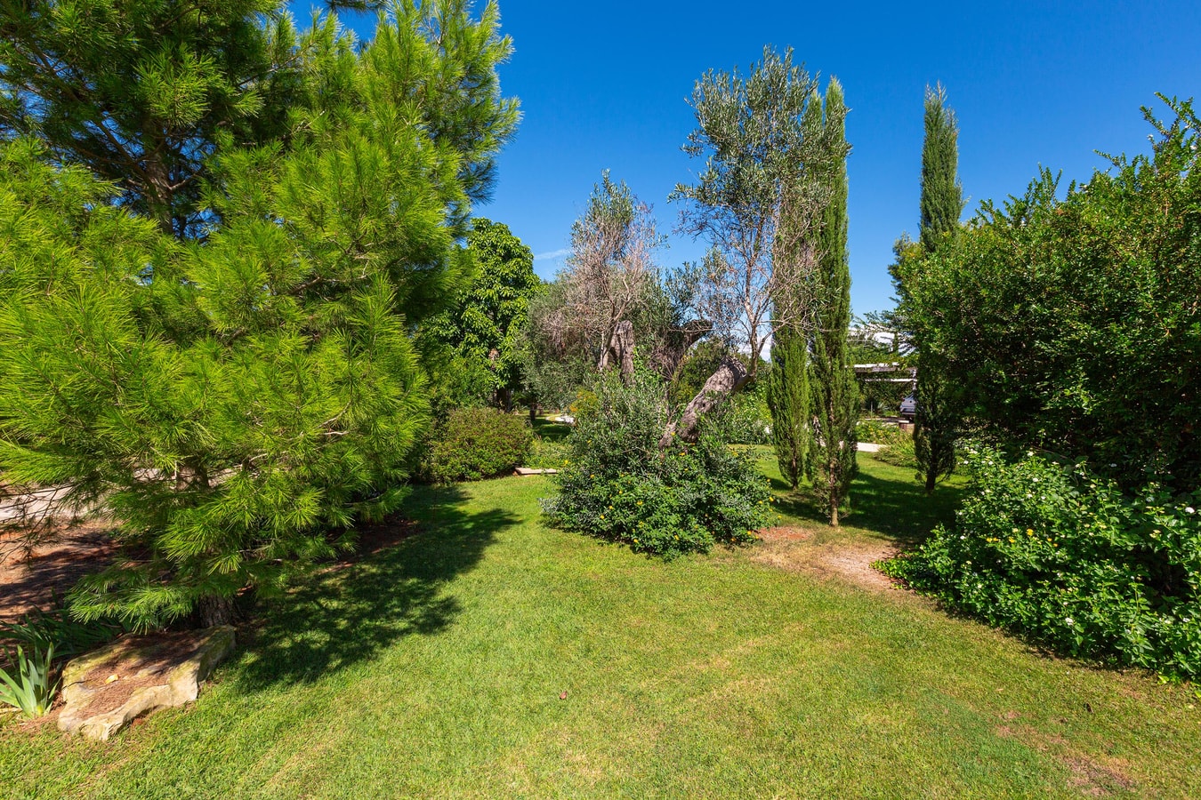 Villa Alice - Private villa with pool in Salento 62 Villas in Italy