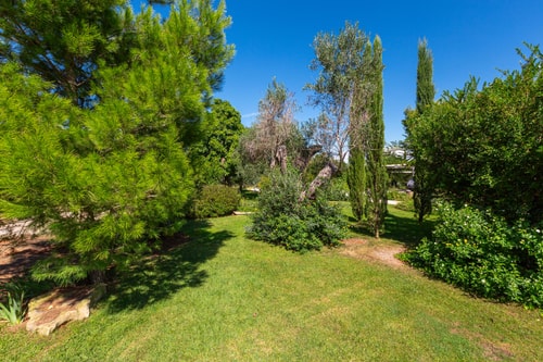 Villa Alice - Private villa with pool in Salento 62 Villas in Italy