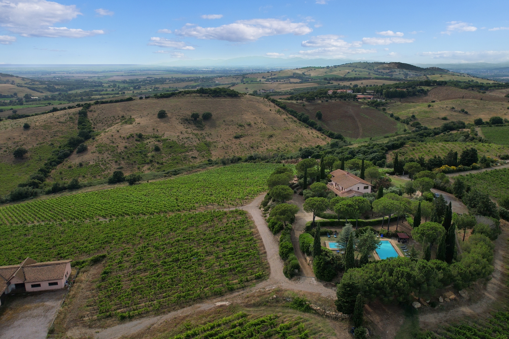 Podere Delle Vigne, in the Vineyards of Maremma 54 Villas in Italy