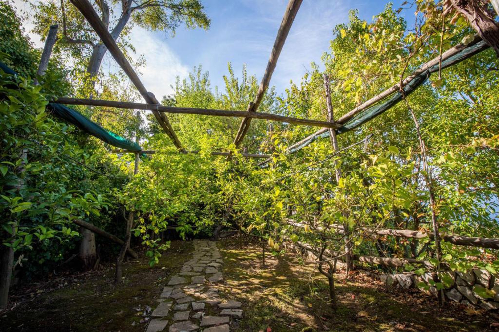 Villa Carlotta with private pool and sea views in Sorrento area 42 Villas in Italy