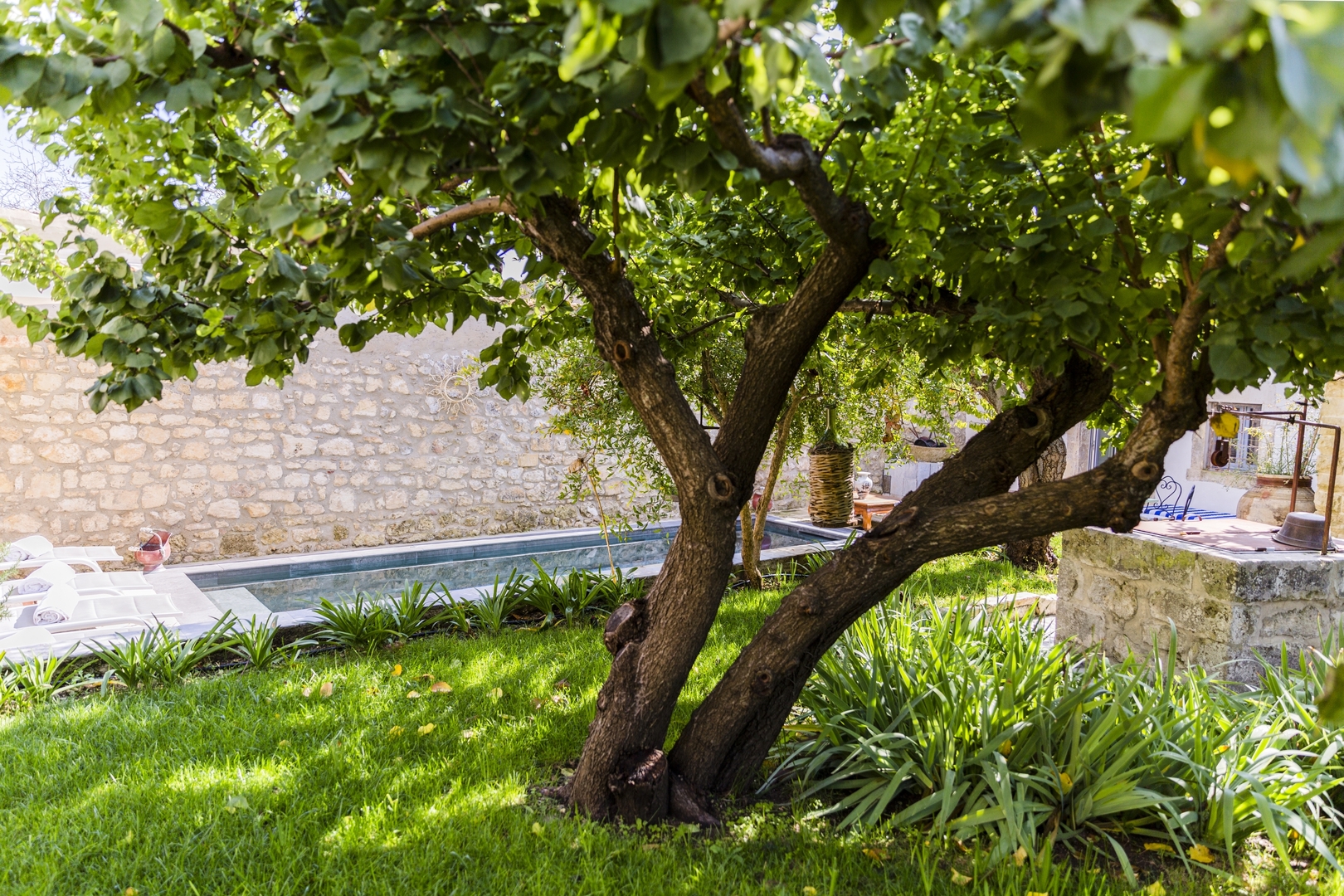 Private villa with swimming pool 1 Villas in Italy
