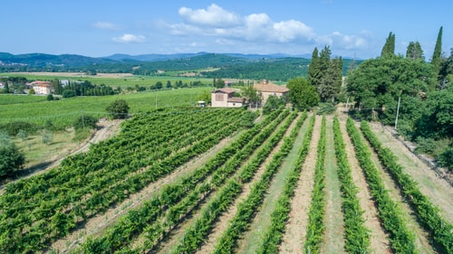Villa Priscilla, with private pool 23 Villas in Italy