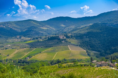 Villa with swimming pool in Tuscany 35 Villas in Italy