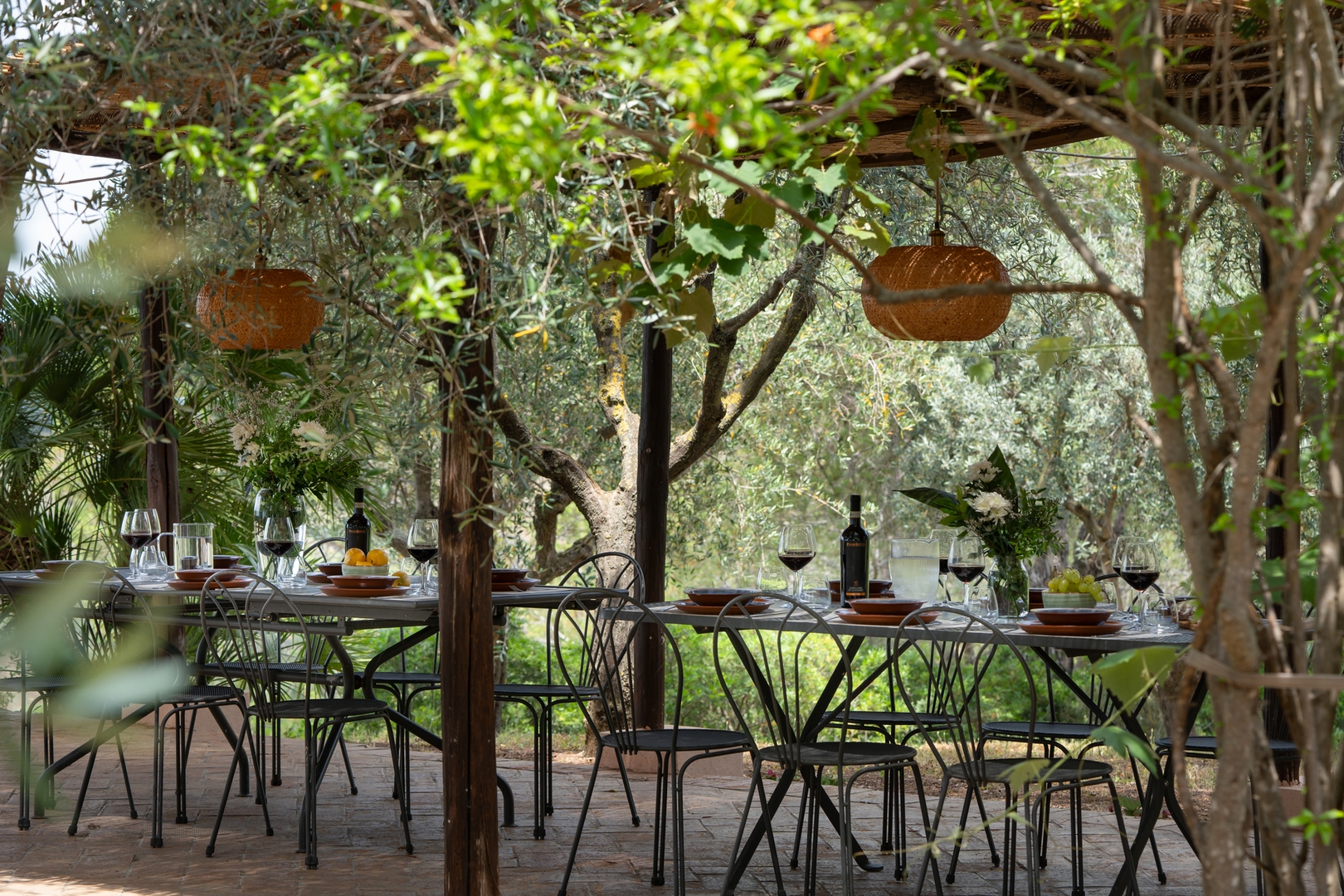 Podere Delle Vigne, in the Vineyards of Maremma 43 Villas in Italy