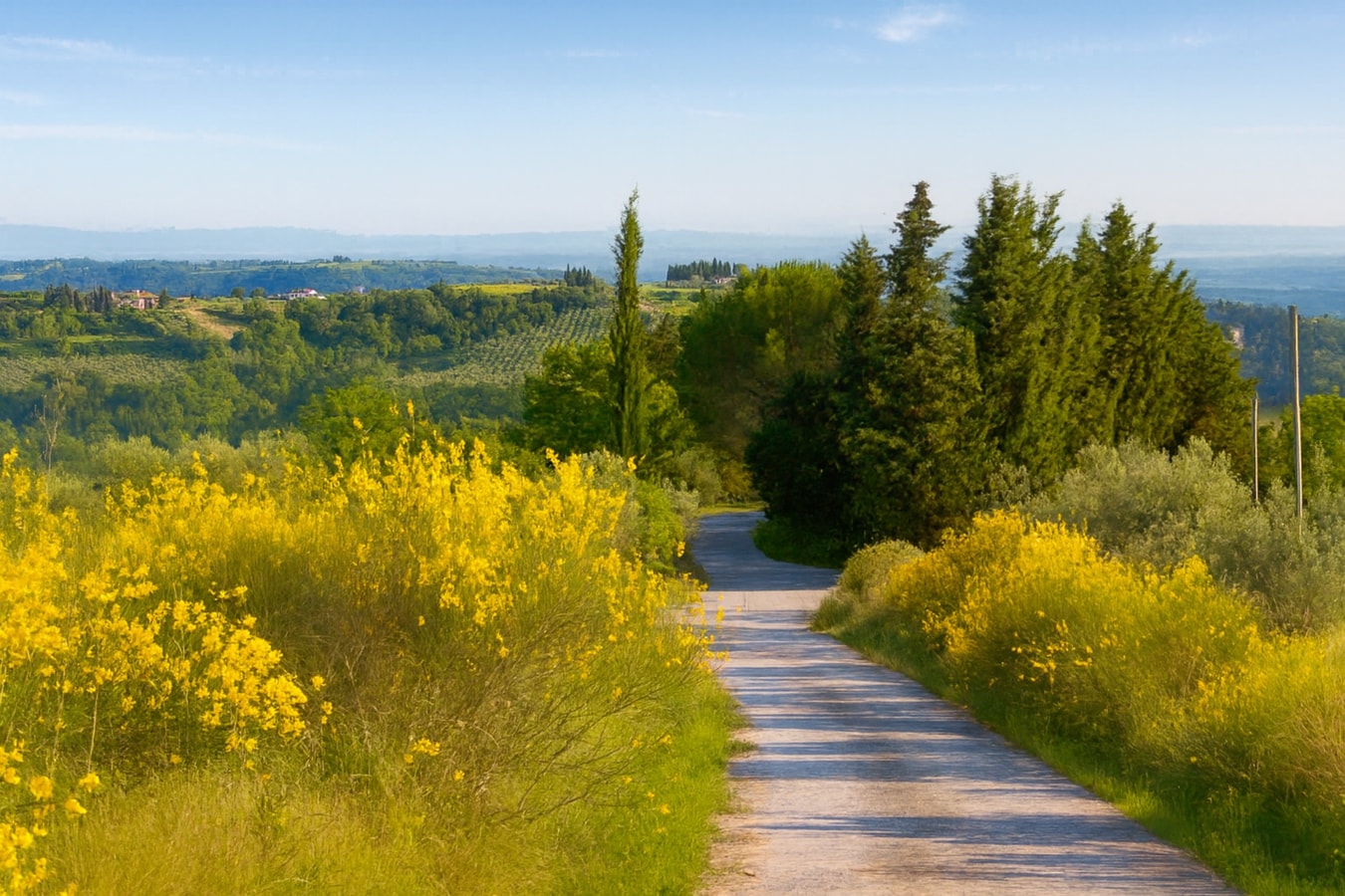 Villa Luisa - Farmhouse with private pool 39 Villas in Italy