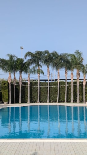 Villa Oasi, in the heart of Southeast Sicily 5 Villas in Italy