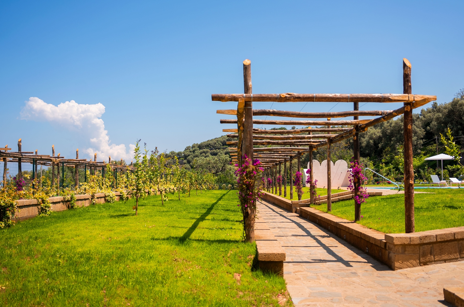 Magia Estate - Ideal for large groups 31 Villas in Italy