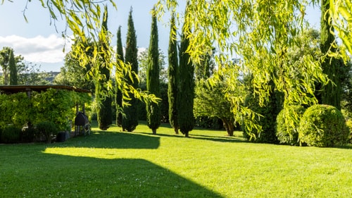 Podere Pulciano - Historic Tuscan farmhouse with pool 63 Italian Breaks
