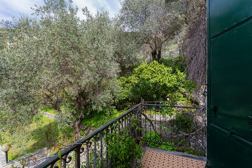 Villa Zagara - Villa with Pool near Portofino 24 Villas in Italy