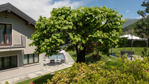 Villa Fiaba, private villa overlooking Bellagio 33 Italian Breaks