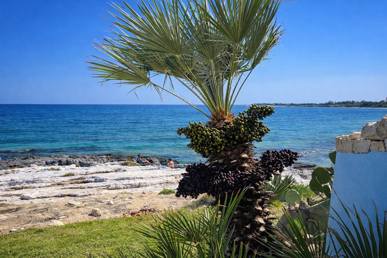 Villa Seranta, sea front villa near town 36 The Prestige Villa Collection