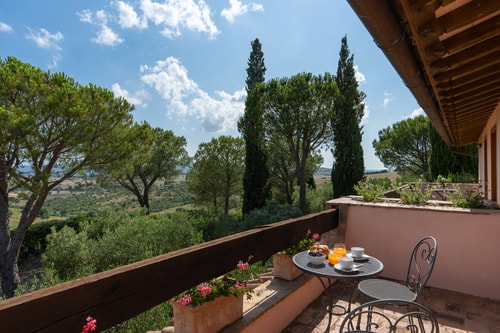Podere Delle Vigne, in the Vineyards of Maremma 41 Villas in Italy