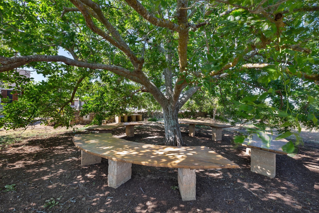 Villa Onda Verde - Historic Masseria in Salento 48 Villas in Italy