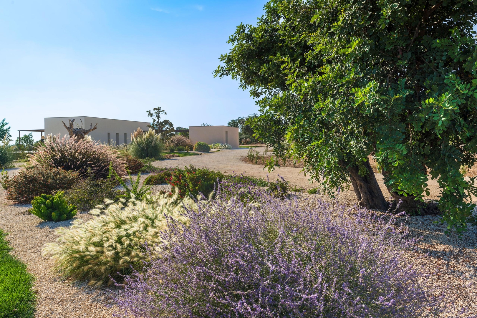 Villa Volpetta - 6 Guests 47 Villas in Italy