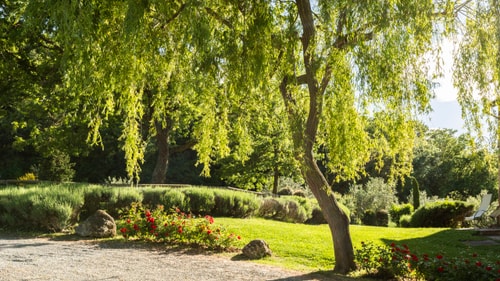 Podere Pulciano - Historic Tuscan farmhouse with pool 6 Italian Breaks