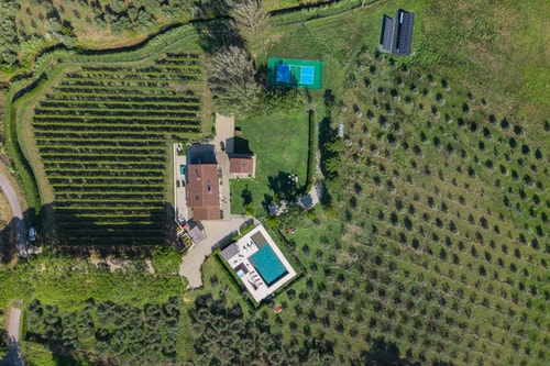 Villa La Pace near Lucca 37 Villas in Italy