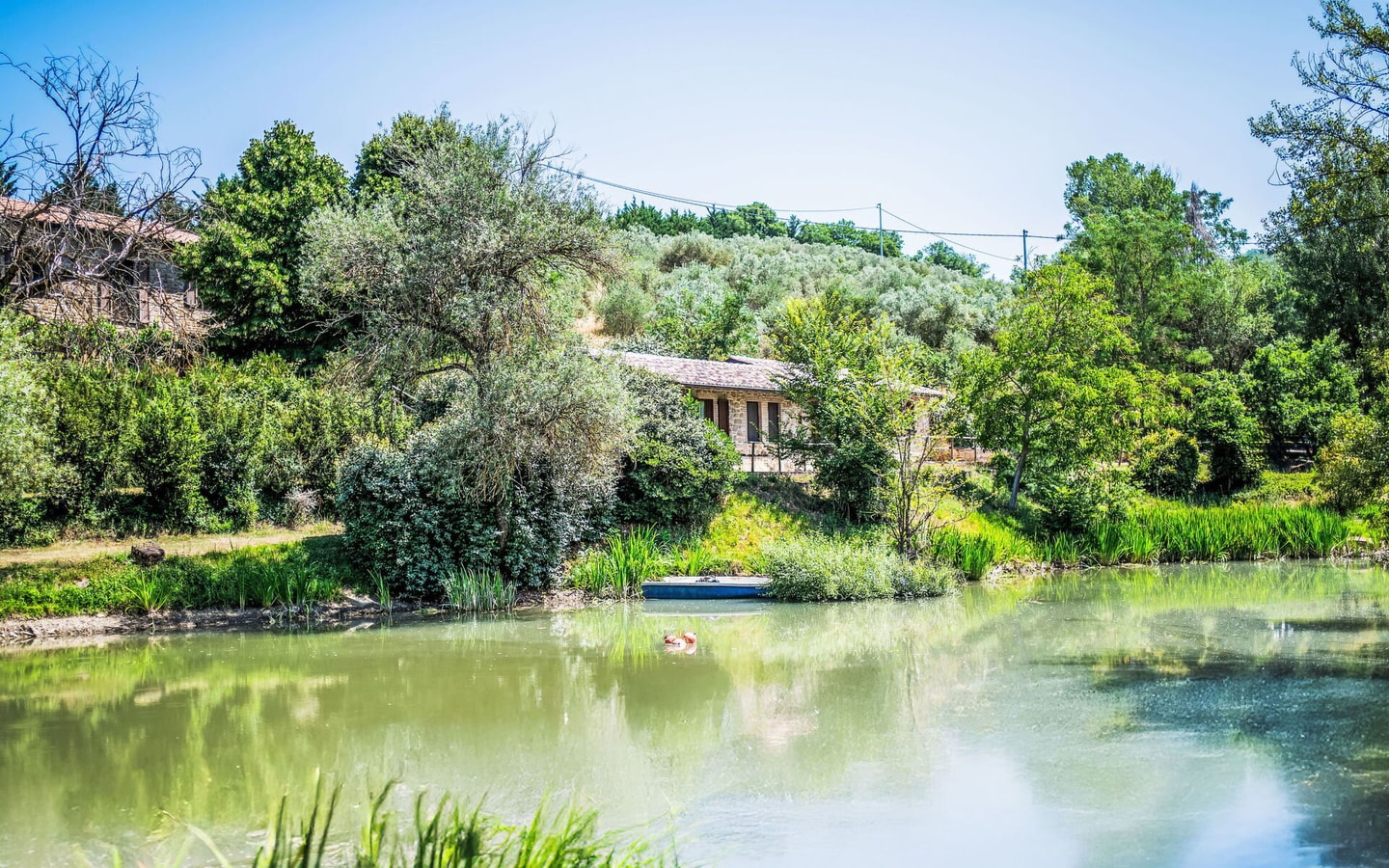 Villa Campi Verdi - Umbrian Charm 21 Villas in Italy
