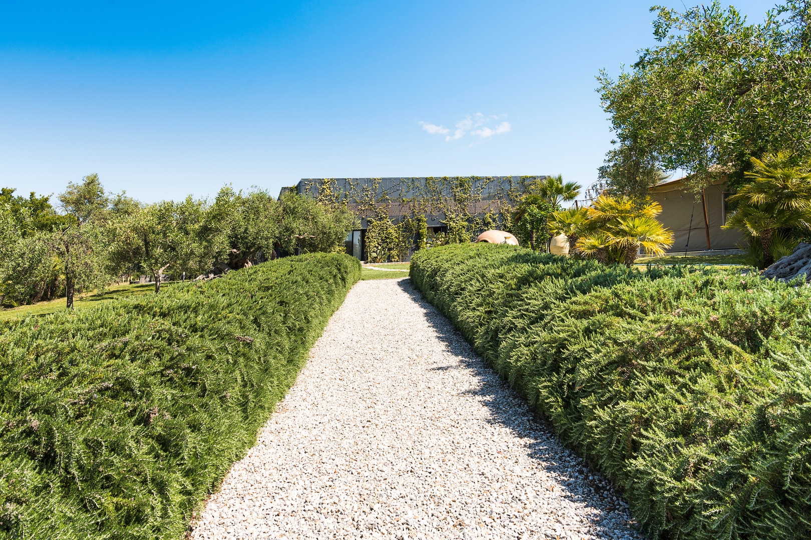 Villa Bouganville – Noto area -with private pool 55 Villas in Italy