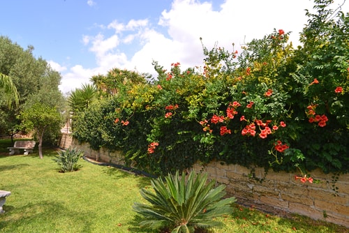 Villa Salvia, with private pool near Syracuse 30 Villas in Italy