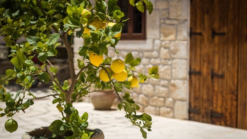 Villa Vista Serena, Traditional Estate in Rural Modica 39 Villas in Italy