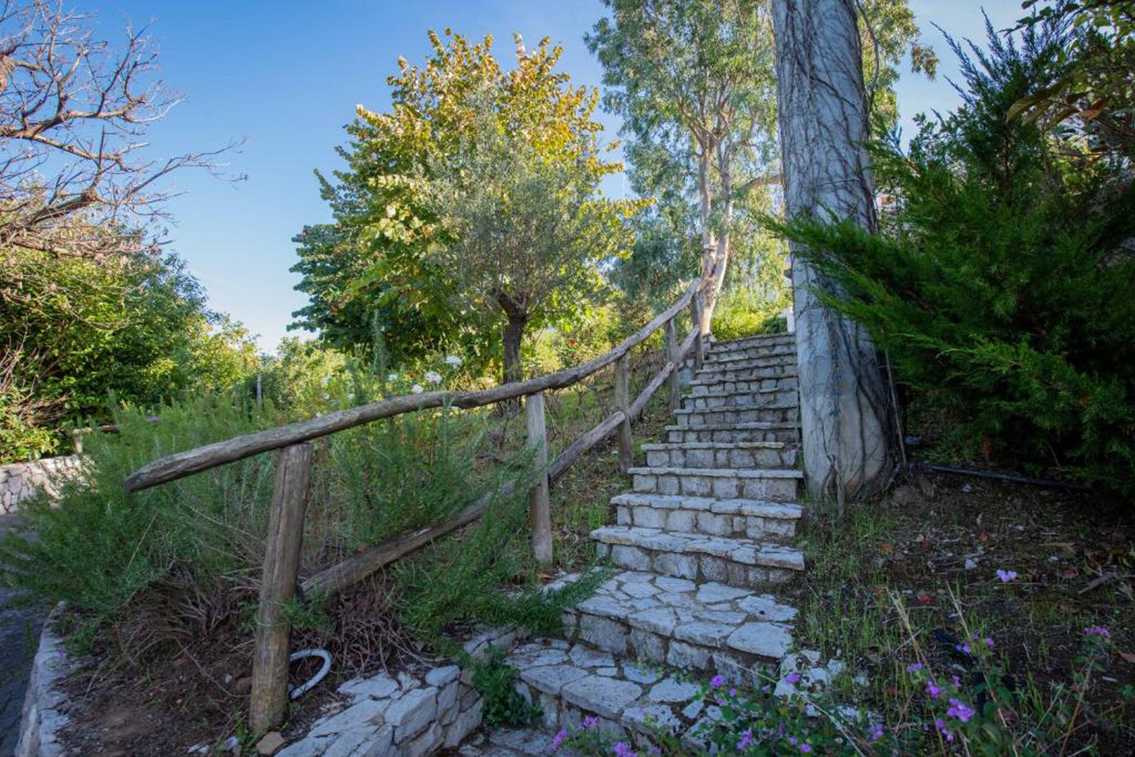 Villa Carlotta with private pool and sea views in Sorrento area 41 Villas in Italy